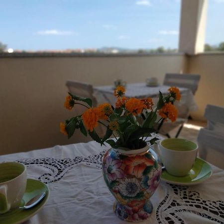 Bed and Breakfast La Casa Dei Fenicotteri Ольбія Екстер'єр фото